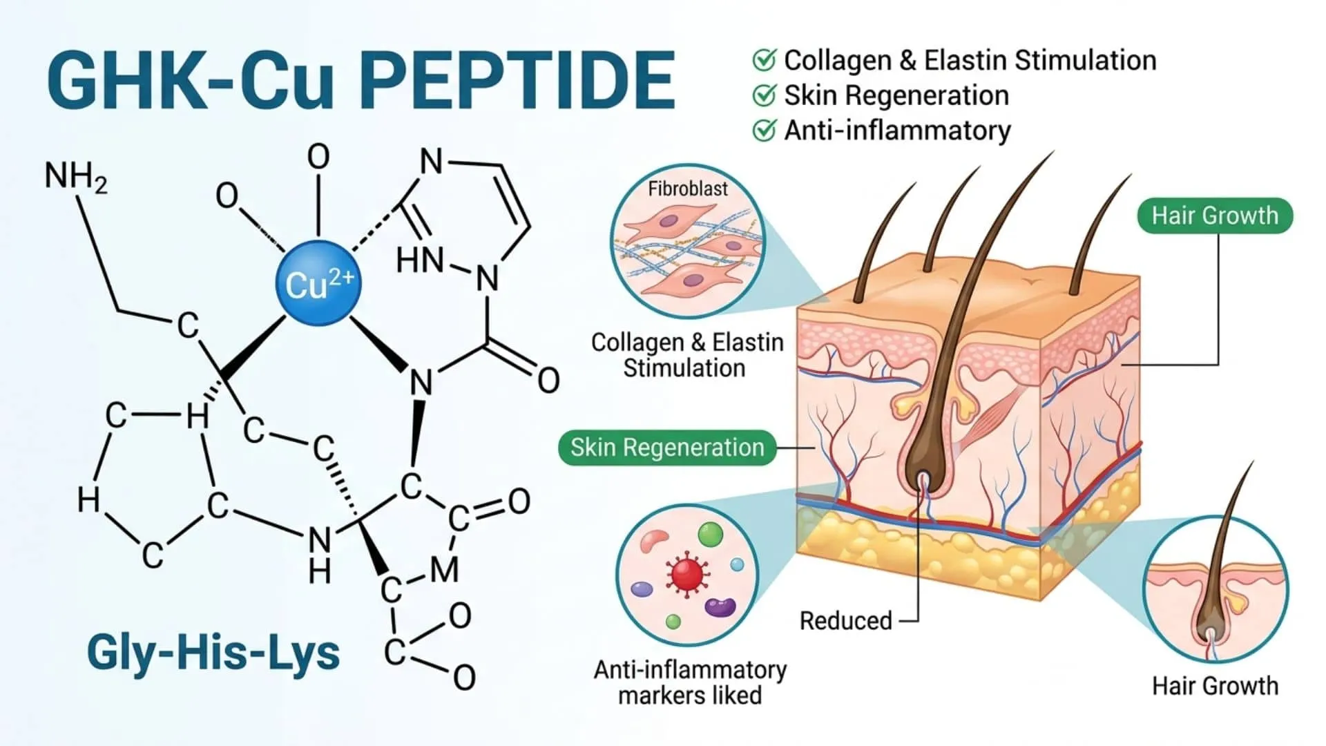 GHK-Cu Peptide: Benefits, Side Effects & Dosage Guide